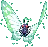 Butterfree avatar