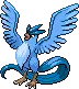 Articuno avatar