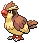 Pidgey