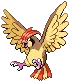 Pidgeotto avatar