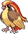 Pidgeot avatar