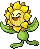 Sunflora