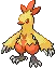 Combusken avatar