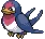 Taillow avatar