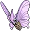 Venomoth