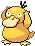 Psyduck