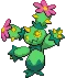 Maractus