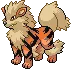 Arcanine avatar