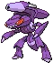 Genesect (Chill Drive)