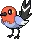 Fletchling avatar