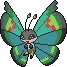 Vivillon avatar