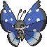 Vivillon avatar