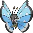 Vivillon (Tundra Pattern)