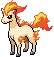 Ponyta