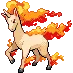 Rapidash