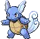 Wartortle